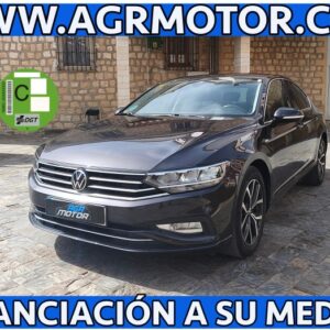 VOLKSWAGEN Passat Executive 2.0 TDI DSG